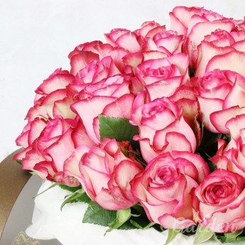 51 кремово-розовая роза в шляпной коробке